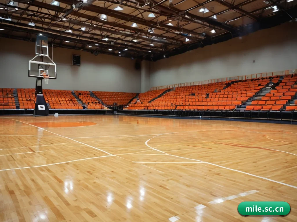 业务扩张 - 业务规模迅速扩张,合作伙伴遍布全球,用户数量突破500万大关。